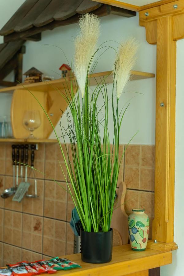 Heart Of Zemun Apartment เบลเกรด ภายนอก รูปภาพ